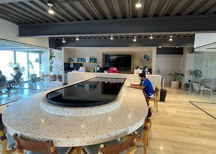 Loft In Anzures With Gym & Coworking Space Mexico City